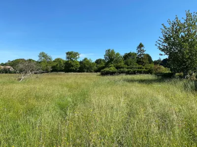Programme Immobilier Auberville (14)